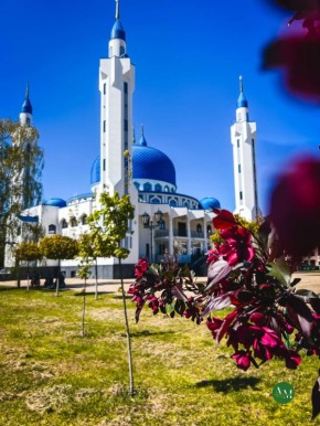 �����������