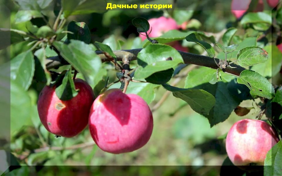 ��� ������� ����������� ����� ������ ��� ��������� ���� � ������� ������