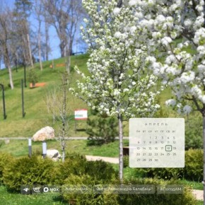 ������ ����!. 18 ������ � ����, ��� �������