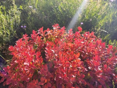 ���������� �� ��������� �������: ��� ������� ������ ������ �������