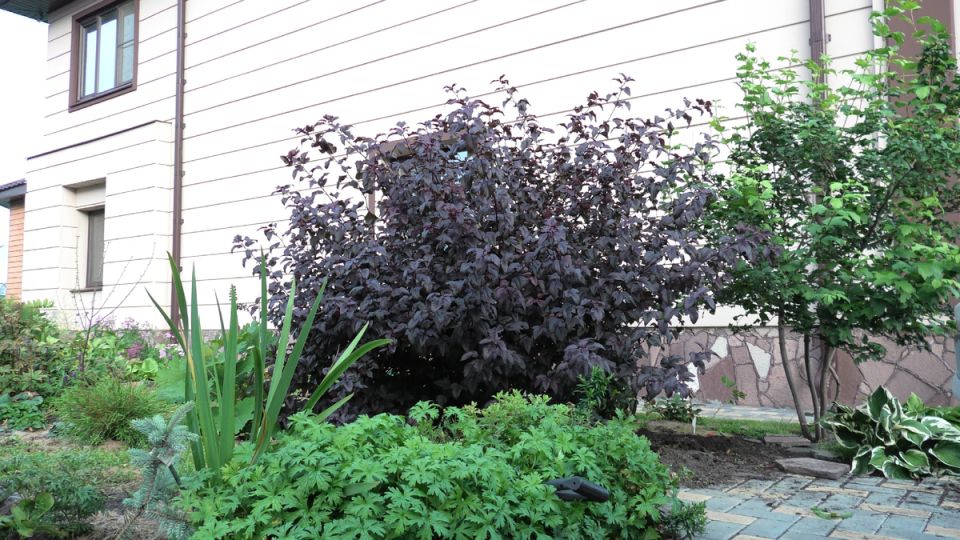 ��������� ������� ��������������: ������ � ������������ �� �����