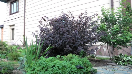 ��������� ������� ��������������: ������ � ������������ �� �����