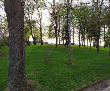 ��� ������� � ��������� ��������� �����: ������ � ������������