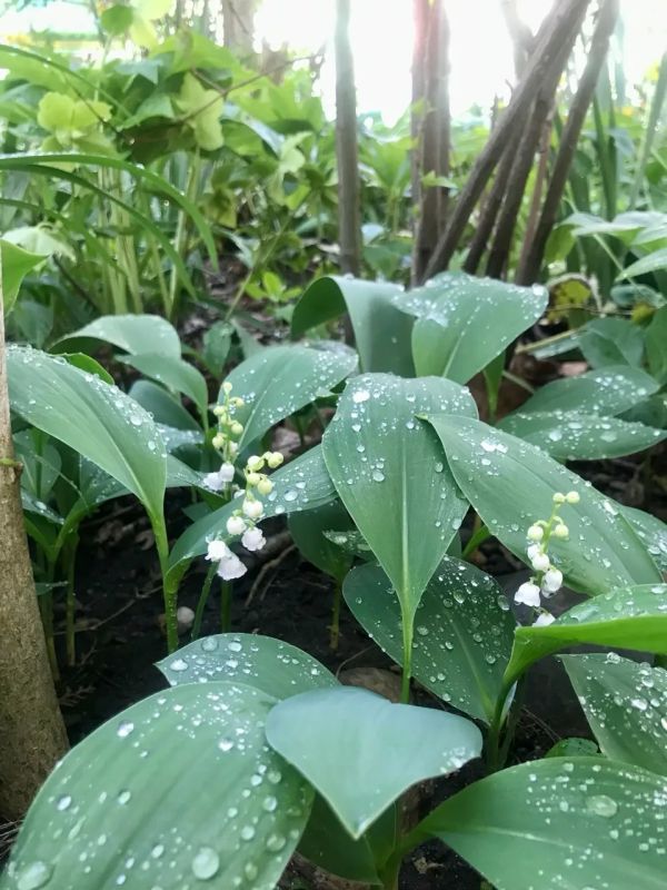 ������ � ������� �� 19 ������: