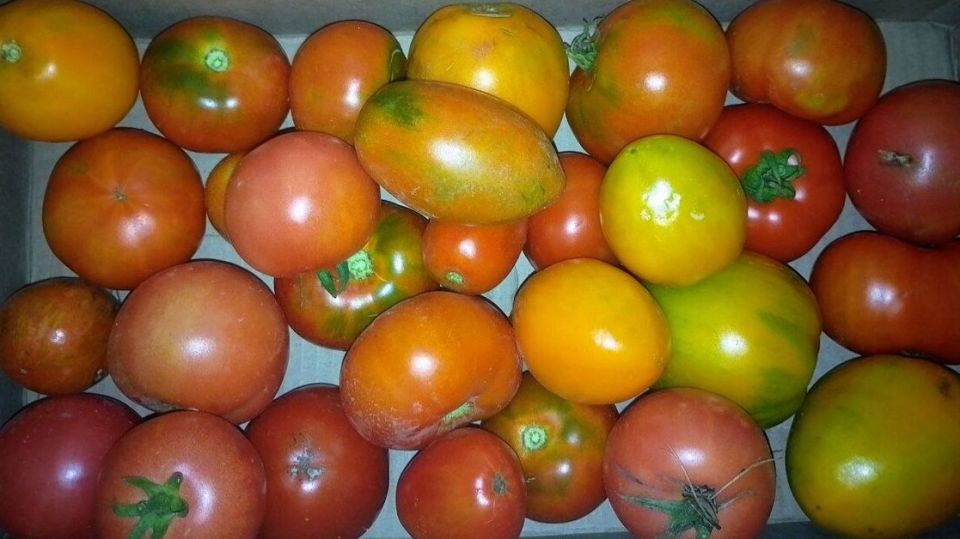 ���������� ��������: ��� ������������������ ����� ��������� ������������