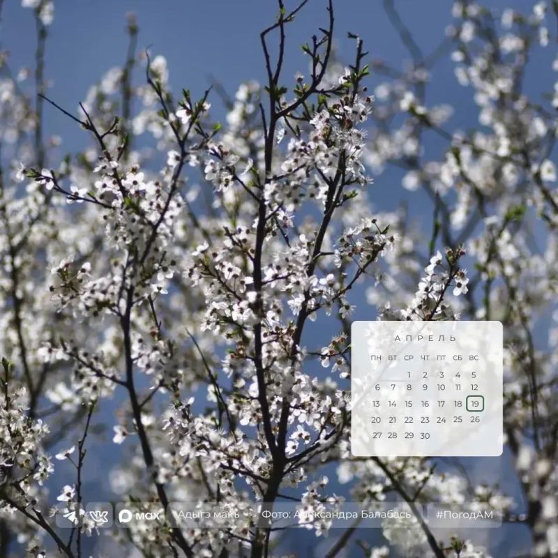 ������ ����!. 19 ������ � ������ ���������� ����������, ��� �������