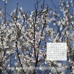 ������ ����!. 19 ������ � ������ ���������� ����������, ��� �������