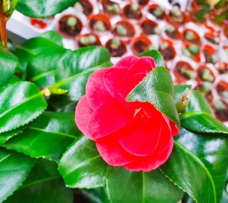 ����� � ����� ������: �������� ������� � ���������� �������