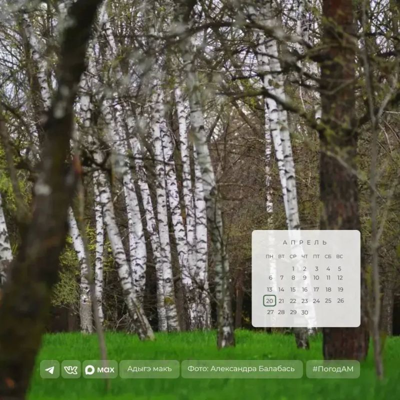 ������ ����!. 20 ������ � ����, ��� �������