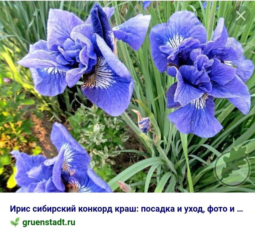 �����: ������������ ����� ��� ��������� ����