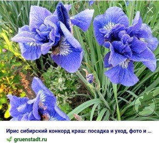 �����: ������������ ����� ��� ��������� ����