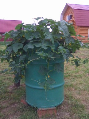 ����������� ������� � ������: ������� � ������