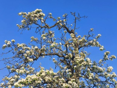 20 ������ � ������ ��������