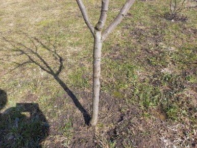 ������ ������ �������� ������: �������� ������ � ���������������