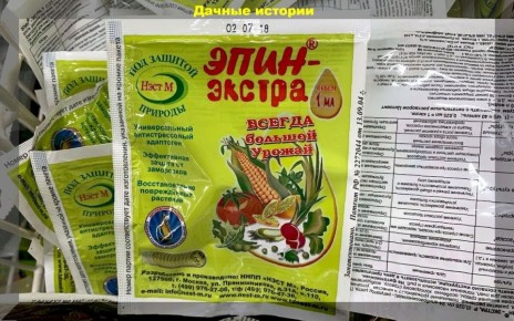 ����������� ����� ��� ������� �������: ������� ��������� �����