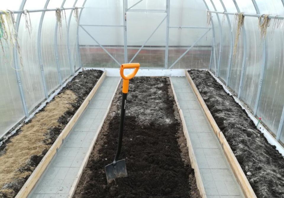 ��� ��������� ����������� ������� � �������� ��������