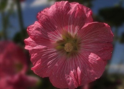 ������: ���������� �������, ������� ����� ��������� � ������ ����