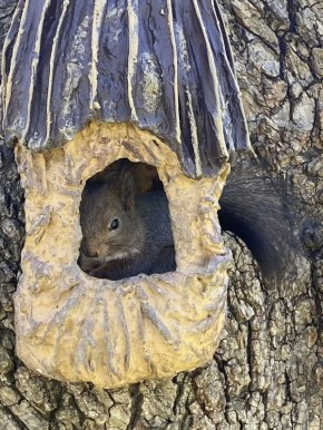 ������ � ������� �� 20 ������: