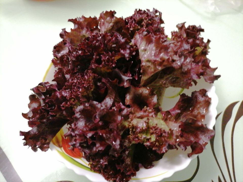 ��� ���������� ������ ������ �� ����: ����������� ����������