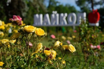 ������� ������ � ������� �� 21 ������: