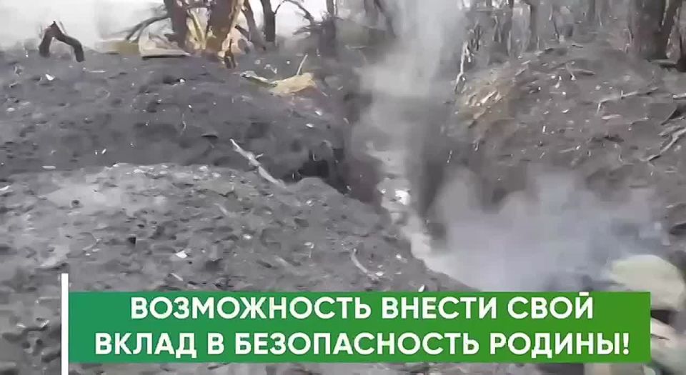 ����� ������ ������ �������