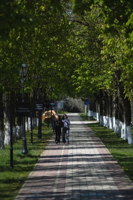 ����� ��������: ������ ����� �� ������ �������