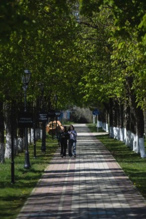 ����� ��������: ������ ����� �� ������ �������