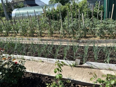 �����: ������ ��� ����� ��� ��������� �������?