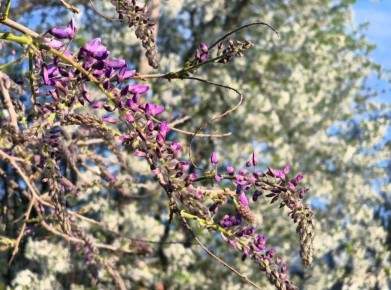 22 ������ � ������ �������� �����