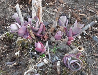 �������� ������: ��� ����� ���������� ��� � ������