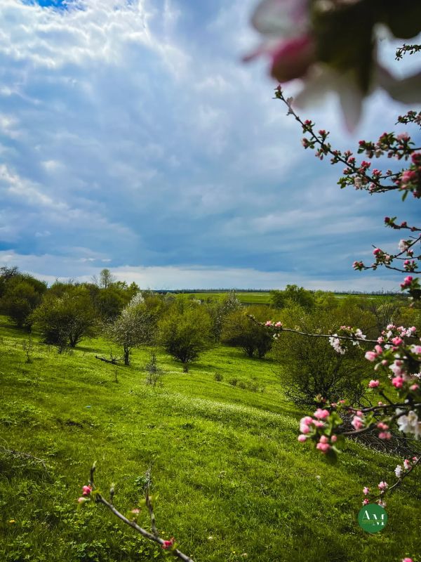 �������� ����������� ������