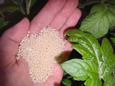 ��� ������� ���������� ������� ��������� ��� ��������� ������: ������ ��� ���������