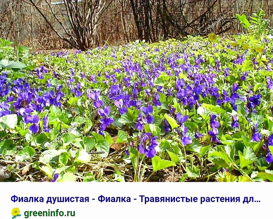 ������ ������: �������������� ������ ��� ������ ����