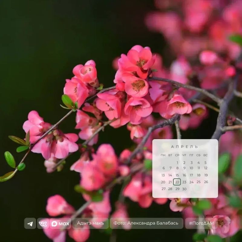 ������ ����!. 22 ������ � ������ ��������� �����