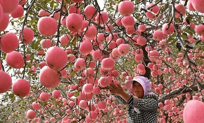 ����������� �������� �������� � ��������������� �������