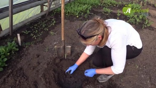 �������� ������� ����� ������� � ��������� ������: ������������ �����������