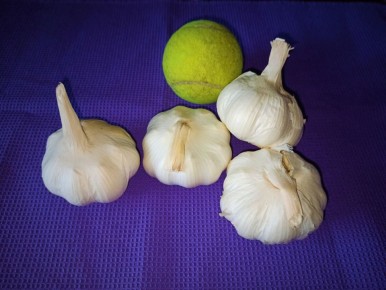 ��� ��������� ������ �������� � ��������� ���: ������� ��������� �����