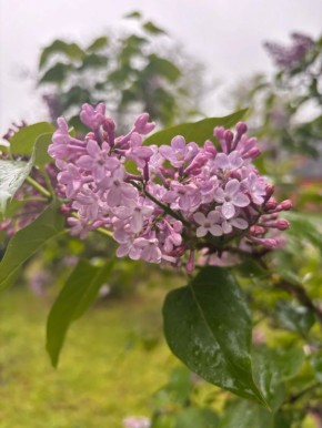 ������ � ������� �� 22 ������: