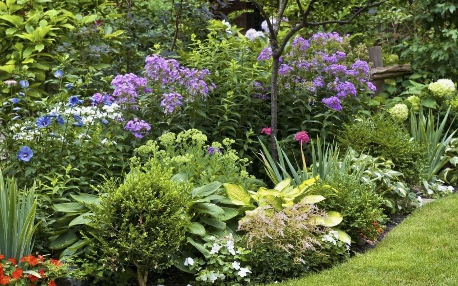 ��� �������� ��������� ��������: ������� ����������� ��������� ��� ��������