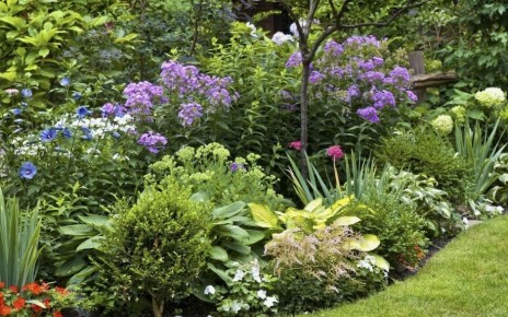 ��� �������� ��������� ��������: ������� ����������� ��������� ��� ��������