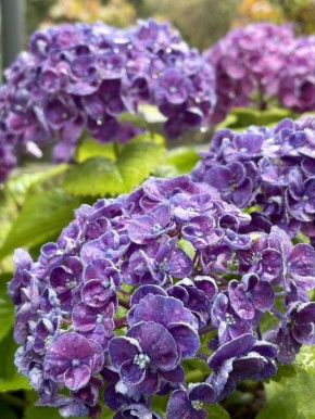 ����� �����. ����� �������, ����� ����/��������� ������