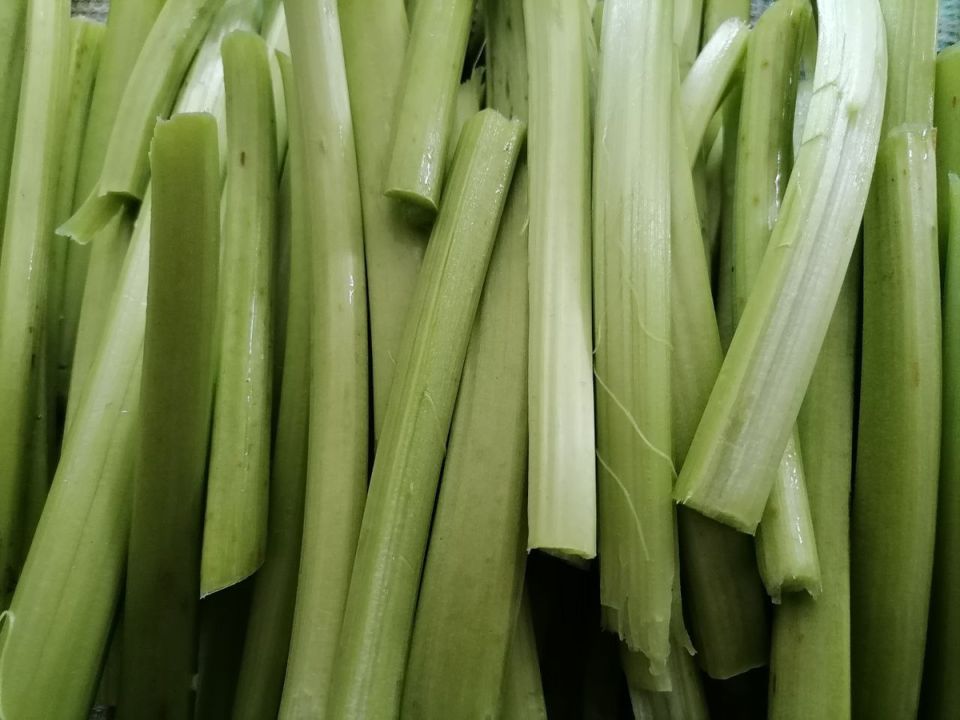 ������: ���� �������� ������ � ������������ ��� �������������� ������