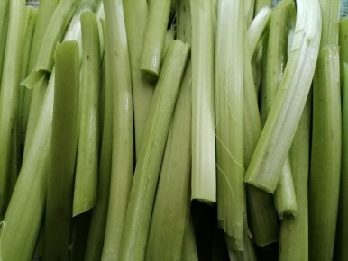 ������: ���� �������� ������ � ������������ ��� �������������� ������