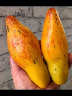 ����� �Ƹ���� ��������: ������� ����������� � ��������� ������ ������������