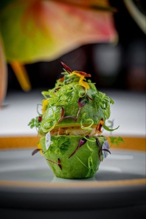 �������� ���� � ��������� Regent: ���������� ������ ��� ���������