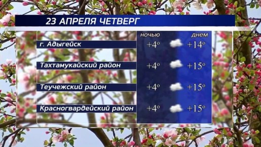 ������ ����!. ������ � ���������� �������, 23 ������