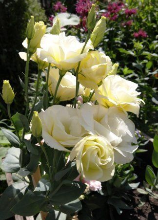 �������: ������� ��������� ����������� �� �����