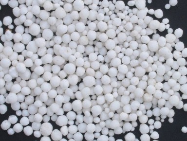 ��� ��������� ������� ���� ��� �������� ��������� ��������