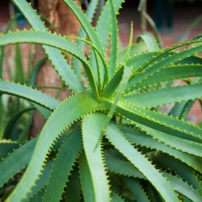 ���� � ���������: ��� ��� ���������� � ��� �� ���� ���������?