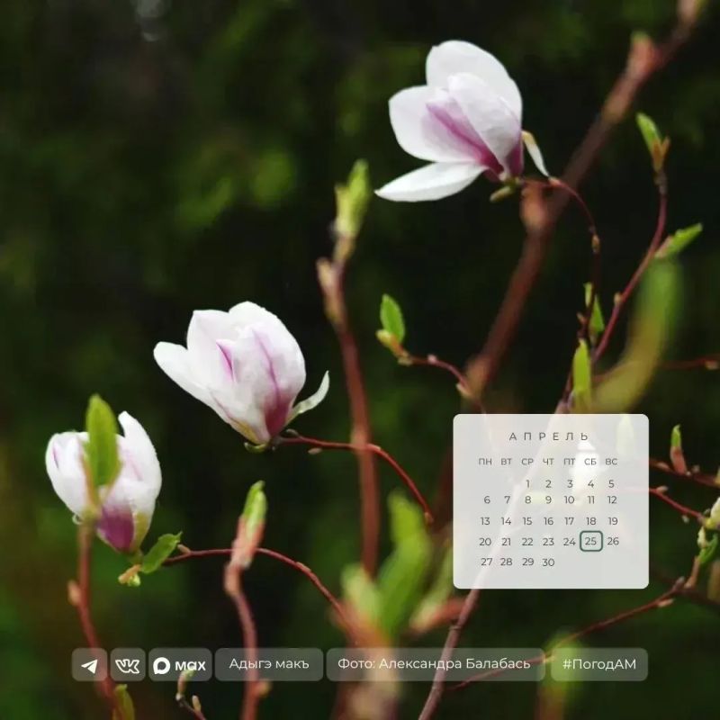 ������ ����!. 25 ������ � ������ ��������� �����